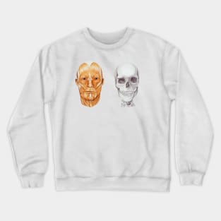 Human skull anatomical drawing, scientific illustration Crewneck Sweatshirt